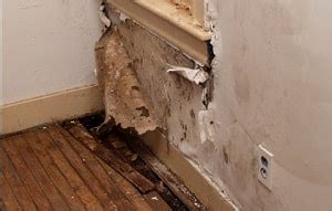 jenks water|Water Damage Restoration In Jenks ️ Aug 2024.